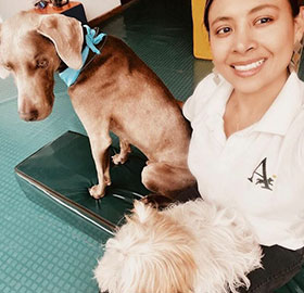 Clientes felices Mascotas Veterinarias Negocios veterinarios Veterinarias Bogotá Veterinarias Cali Veterinarias Medellín Veterinarias Colombia Veterinarias Barranquilla